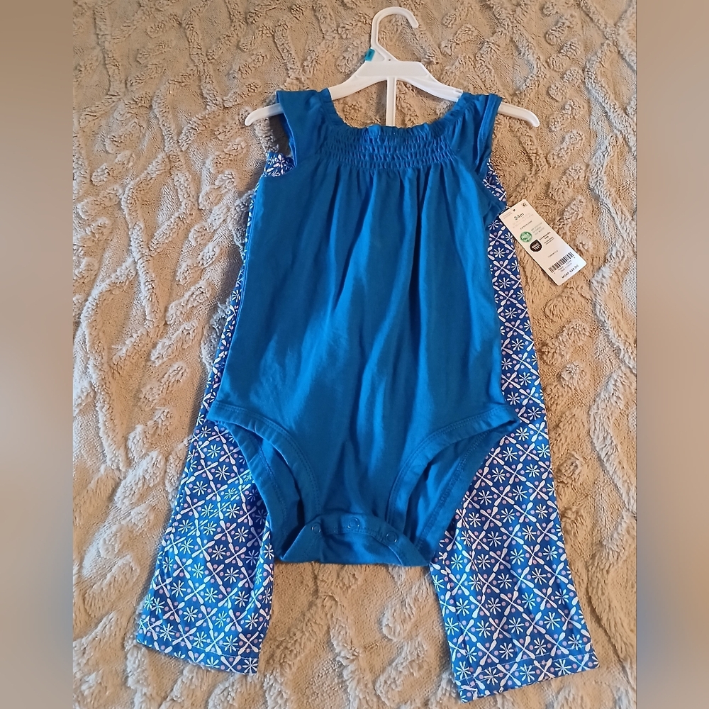 Carter's Blue Floral Romper and Pants Set